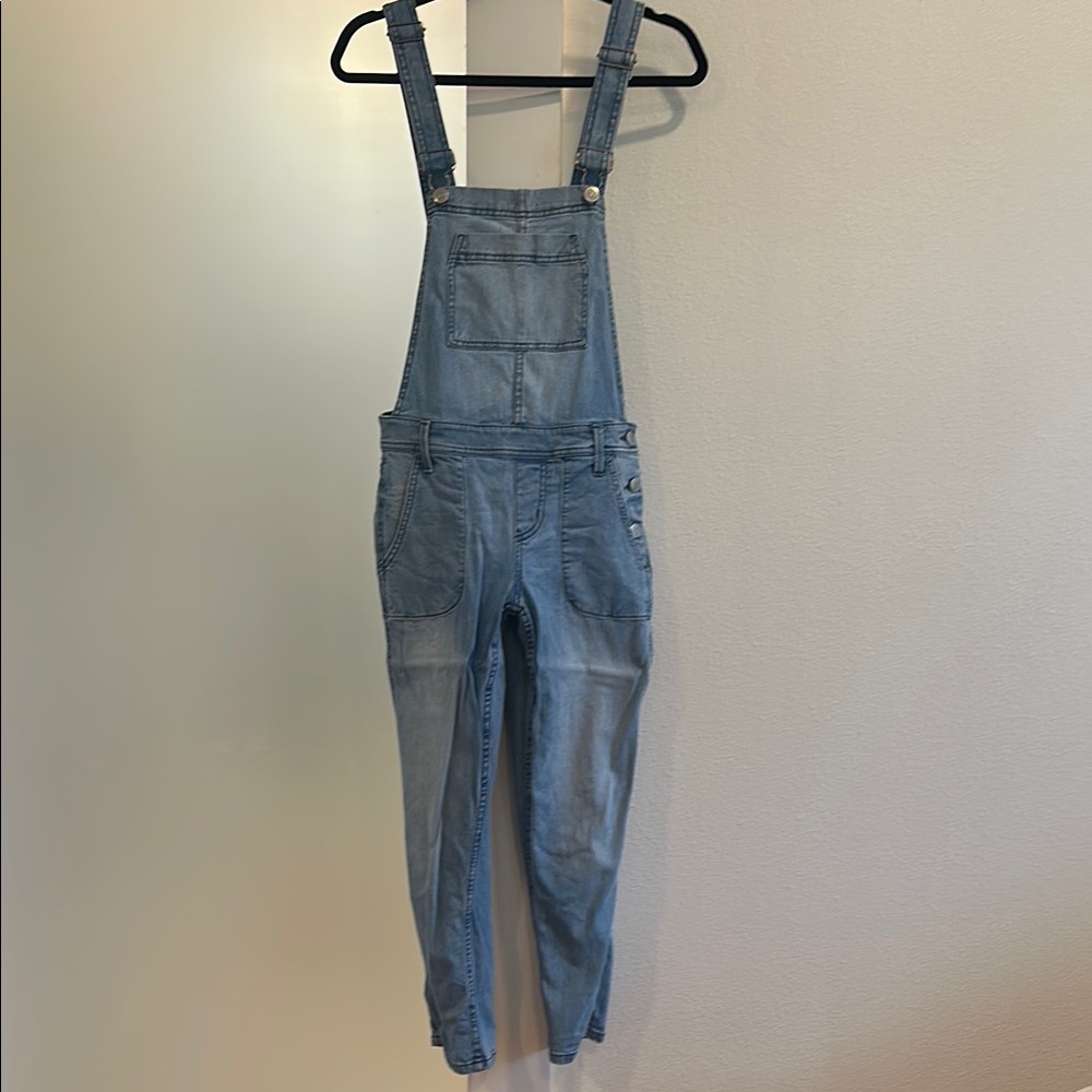 Level 99/anthropology Classic Blue Denim Overalls